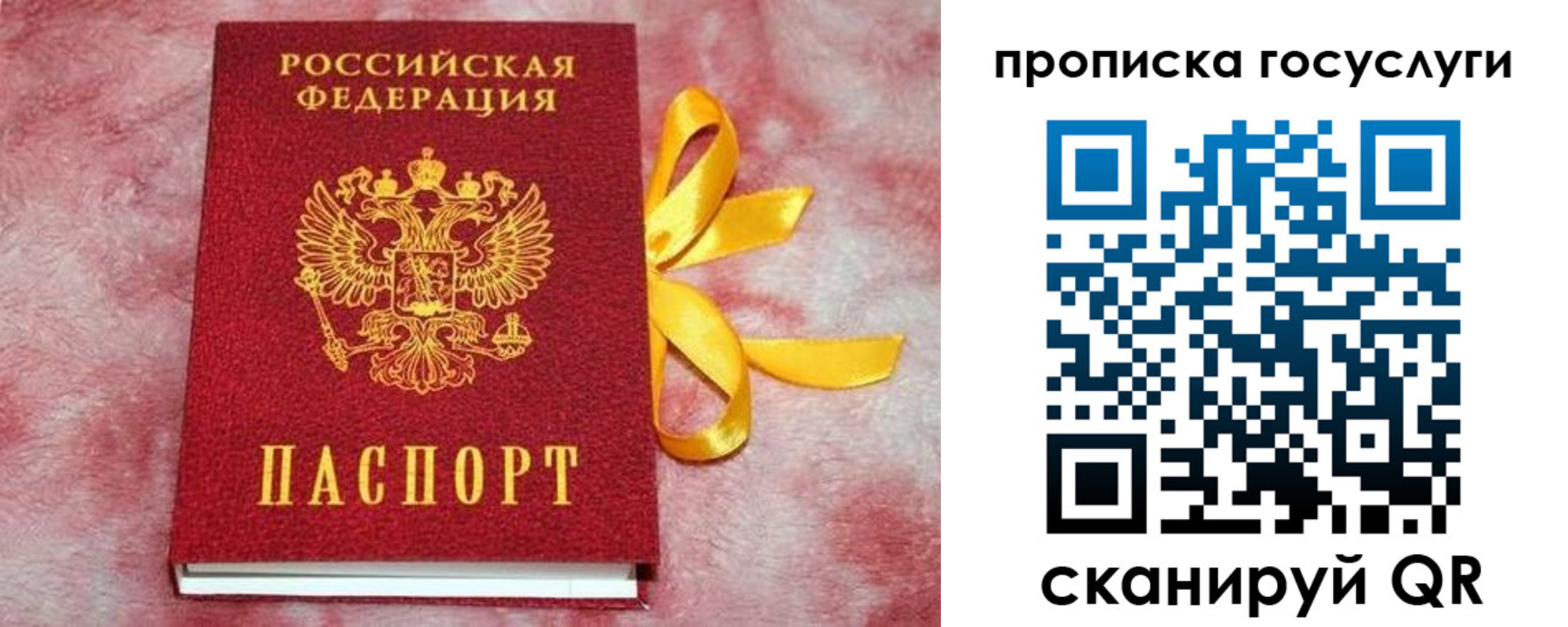 регистрация в Пионерском